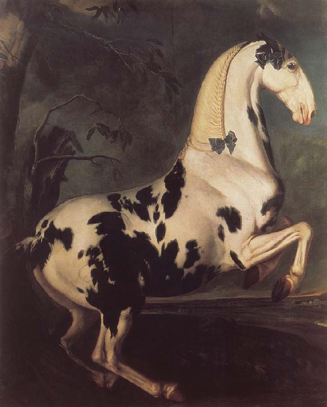 Johann Georg von Hamilton Likeness of a Schecken out of the Eisgruber g sharp deed in the Levade Sweden oil painting art